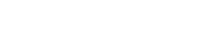 Orthopaedic Surgeon Dr. H.F. Visser name logo 1